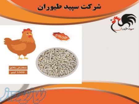 فروش دان مرغ تخمگذار قیمت مناسب - طیور 