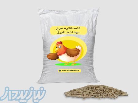 دان مرغ بومی و محلی 