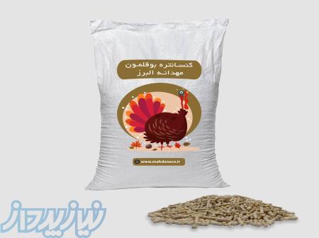 دان بوقلمون برنز و بیوتی 