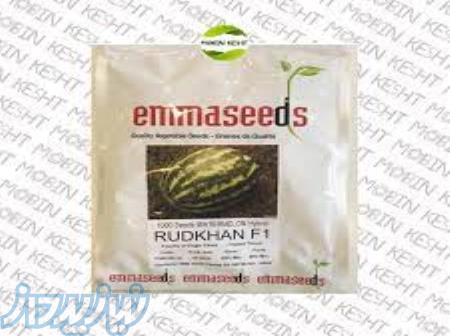 بذر هندوانه رودخان اماسید 