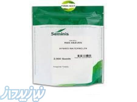 بذر هندوانه ردهیون 