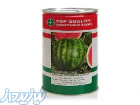 بذر هندوانه اسکارلت 