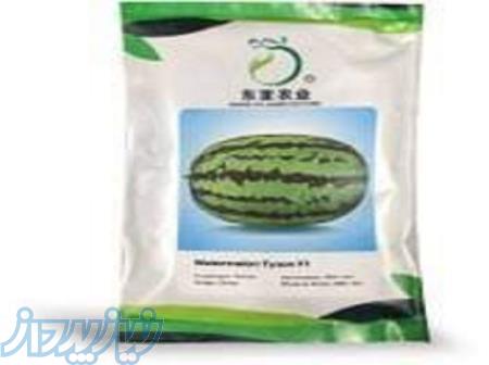 بذر هندوانه زودرس کریمسون دراکو 