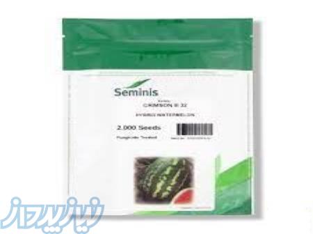 بذر هندوانه بی 32 