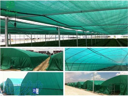 Manufacturer of all kinds of woven plastic nets 
