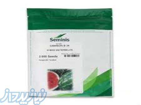 بذر هنوانه بی 34 