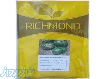 بذر هندوانه ریور 32 