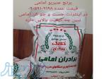 برنج عنبربو امامی قیمت عمده 09059109198 