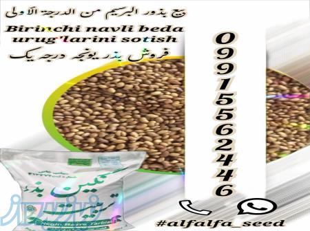 فروش بذر یونجه و بذر علوفه ، عمده و خرده 