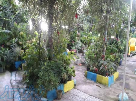 فروش زمین ۵۰۰ متری با خانه ویلایی در آن 