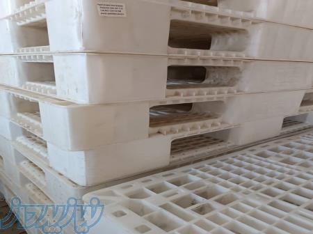 پالت پلاستیکی سفید در حد نو 