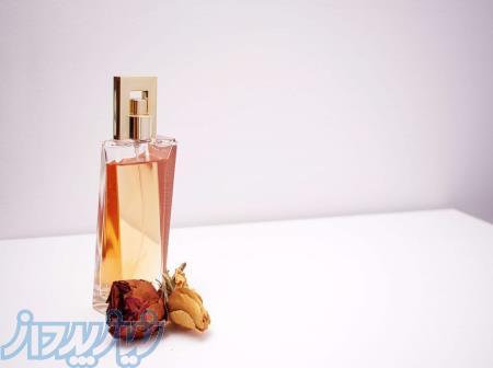 عطر اسانس رایحه ظرف ادکلن اسپری ماندگاری خط بو 