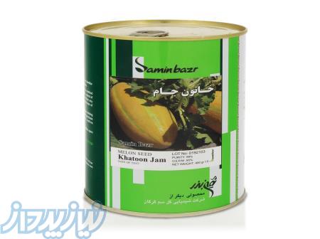 فروش بذر خربزه مشهدی خاتون جام 