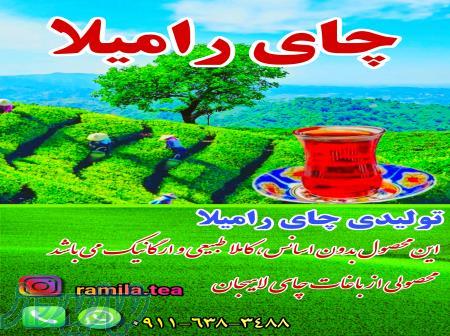 تولیدی چای رامیلا لاهیجان