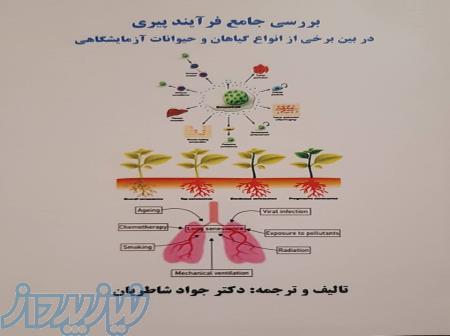 کتاب بررسی جامع فرایند پیری در بین برخی از انواع گیاهان و حیوانات آزمایشگاهی 