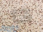 تِرازو(terrazzo) 