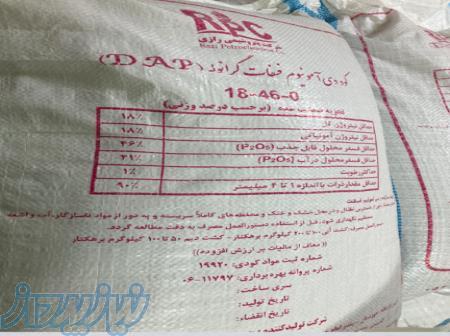 دی امونیوم فسفات راضی 