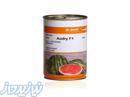 بذر هندوانه آئودری (اودری) نانهمز 