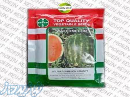 بذر هندوانه لیمان ناسکو 