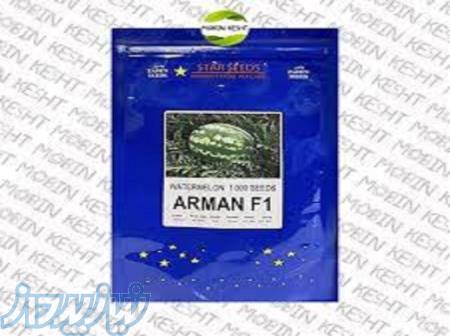 بذر هندوانه آرمان 