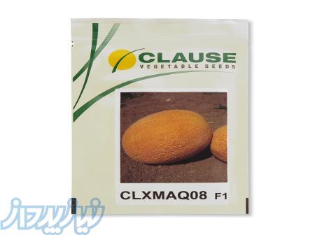 بذر خربزه آناناسی 08 (CLXMAQ08) کلوز 