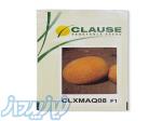 بذر خربزه آناناسی 08 (CLXMAQ08) کلوز 