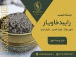 خرید حضوری و اینترنتی خاویار از نمایندگی تهران 