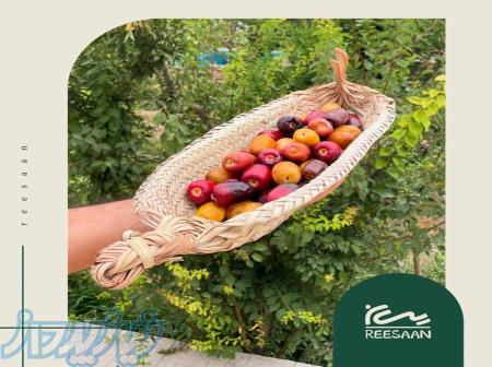 فروش عمده و خرده ظرف حصیری 