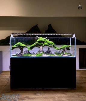 ساخت ، نصب و سرویس انواع آکواریوم