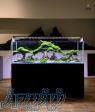 ساخت ، نصب و سرویس انواع آکواریوم