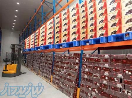 سردخانه صنعتی خرما 