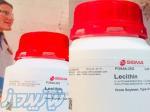 lecithin  sigma 