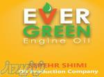 روغن موتور EVERGREEN 