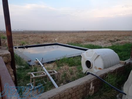 زمین با کاربری گلخانه در فاز یک شهرک گلخانه اوه