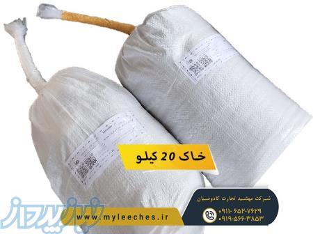 خاک بستر حلزون چیست