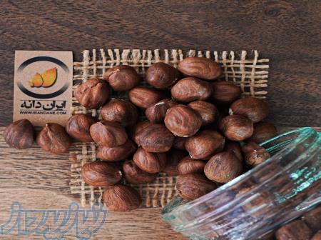 فروش عمده مغز فندق خام