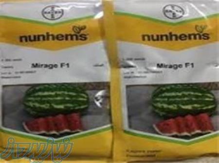 بذر هندوانه میراژ نانهمز 