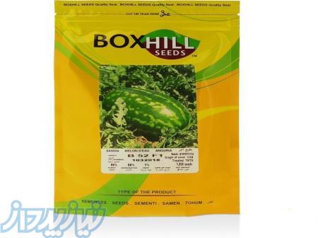 بذر هندوانه بی 52 (B52) باکسهیل 