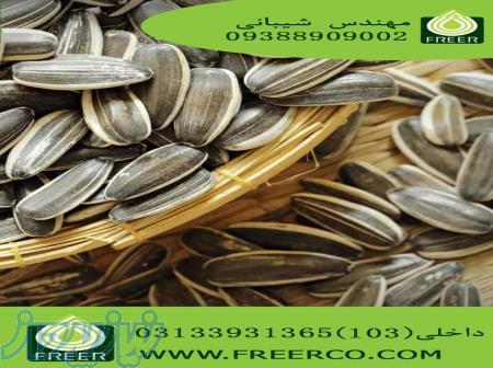 خرید عمده طعم دهنده پودری ویژه تخمه و آجیل 