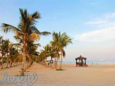 تورهای ویژه ی زمستان 