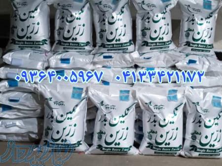 فروش بذر یونجه در ارقام متنوع سردسیری و گرمسیری 