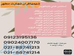 اسانس‌های حرارتی با کیفیت مرغوب 
