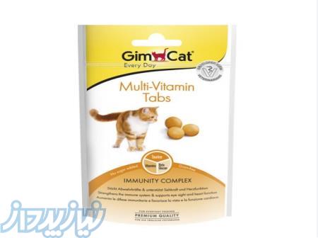 خرید قرص مولتی ویتامین گربه جیم کت 
