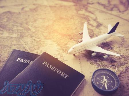 گروه مهاجرتی بین المللی سون استار 