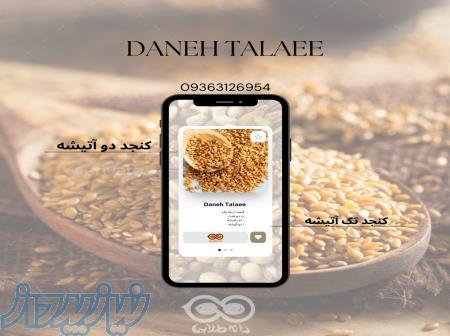 بازرگانی دانه طلایی