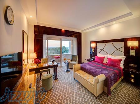 تور مشهد لحظه اخر 