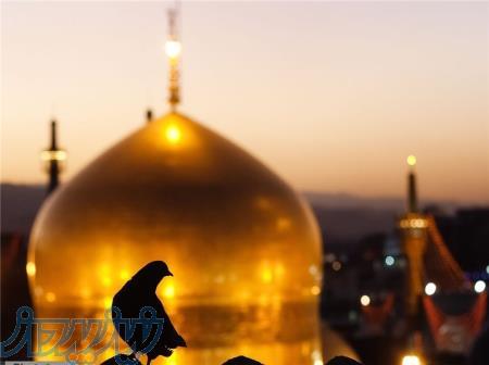 تور مشهد ویژه روز پدر 