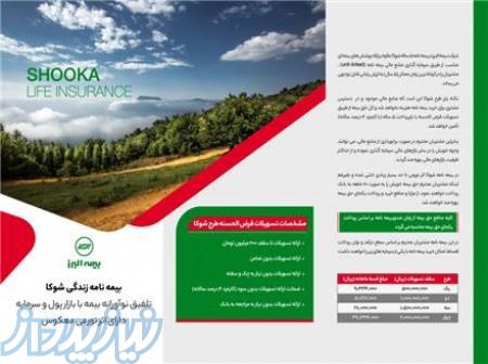 بیمه عمر شوکا البرز 