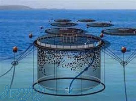 آموزش پرورش ماهی در قفس 