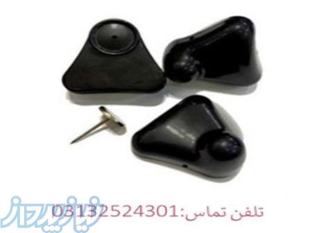  پخش تگ مثلثی در اصفهان 